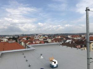 IMG_1109